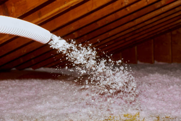 Best Spray Foam Insulation  in Clarksville, VA
