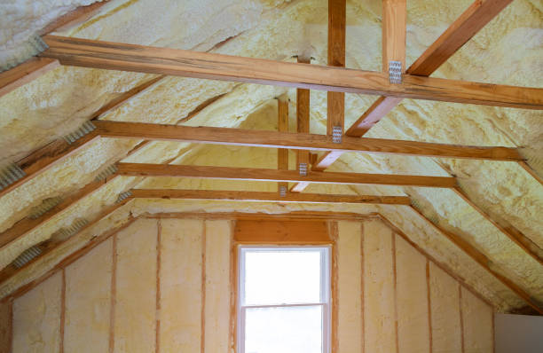 Professional Insulation Contractor in Clarksville, VA