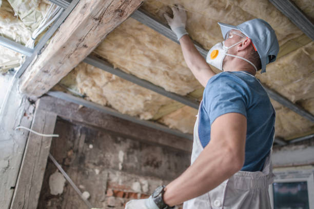 Best Insulation Replacement Services  in Clarksville, VA