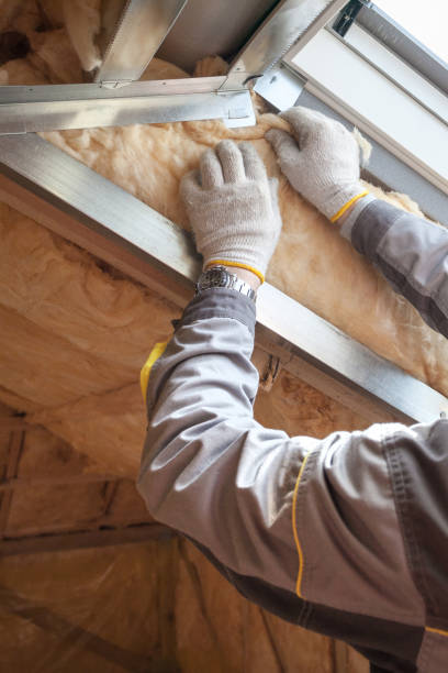 Best Wall Insulation Contractor  in Clarksville, VA