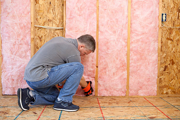 Best Insulation Contractors for Homes  in Clarksville, VA