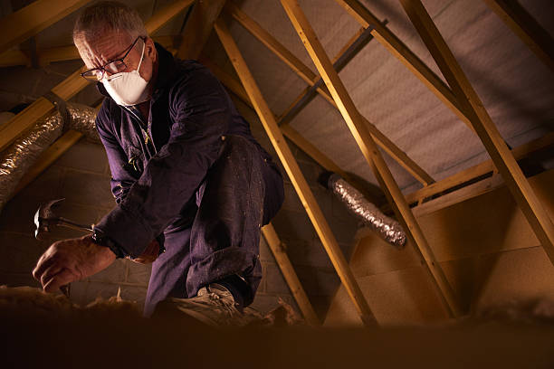 Best Crawl Space Insulation  in Clarksville, VA