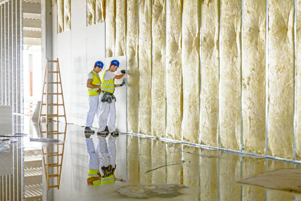 Attic Insulation Near Me in Clarksville, VA